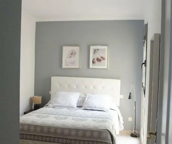 Coral Dream